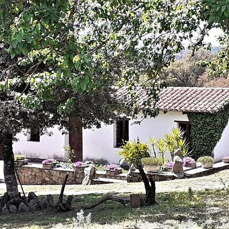 B&B I Menhir Sorgono Exterior photo