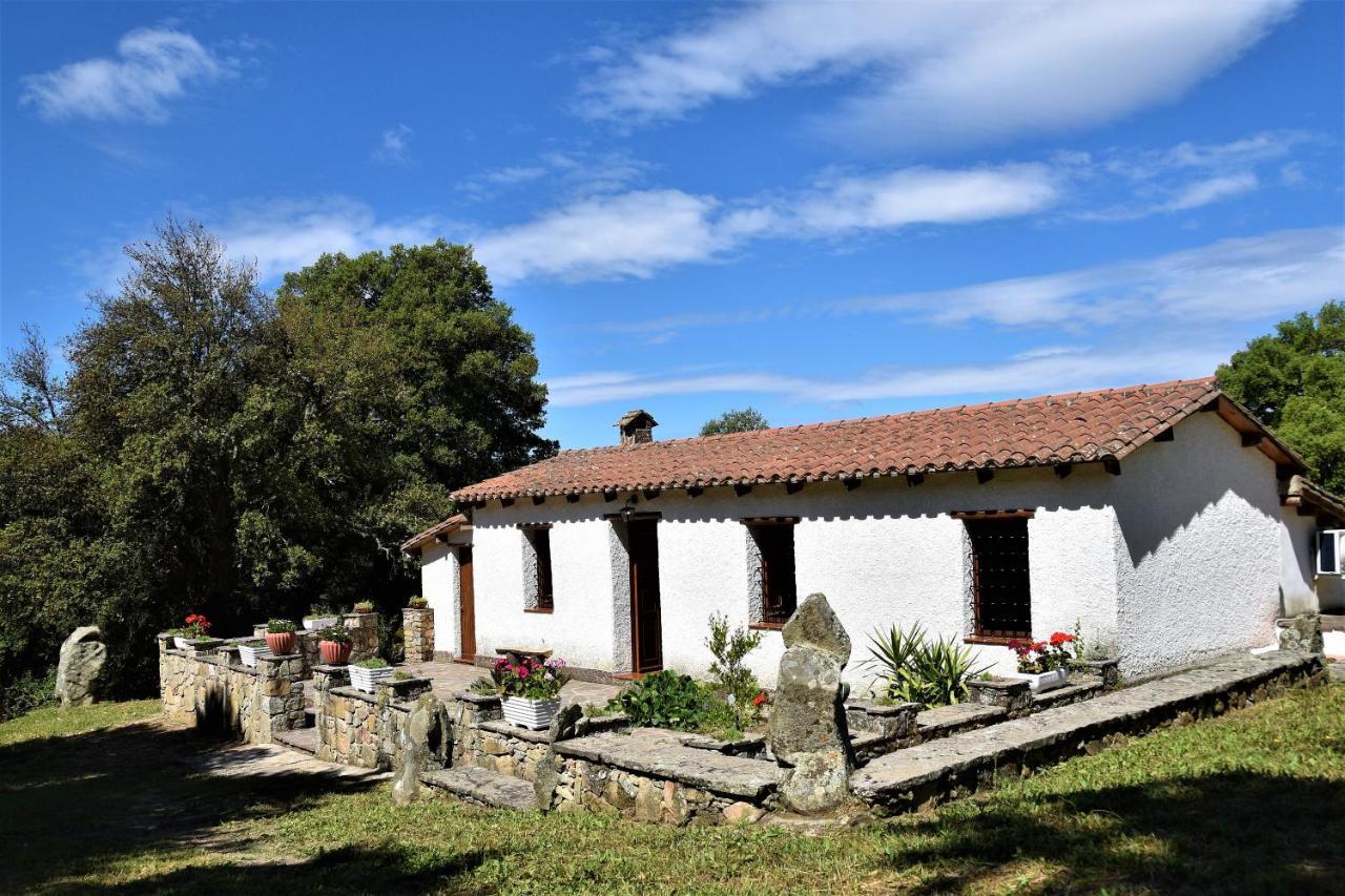 B&B I Menhir Sorgono Exterior photo