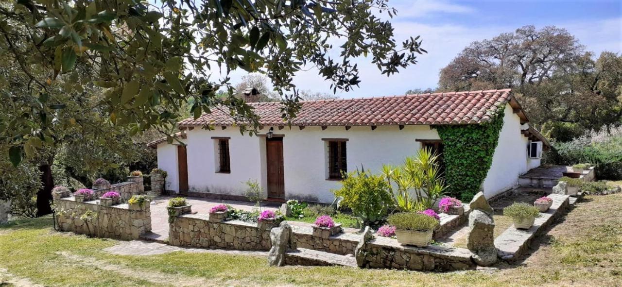 B&B I Menhir Sorgono Exterior photo