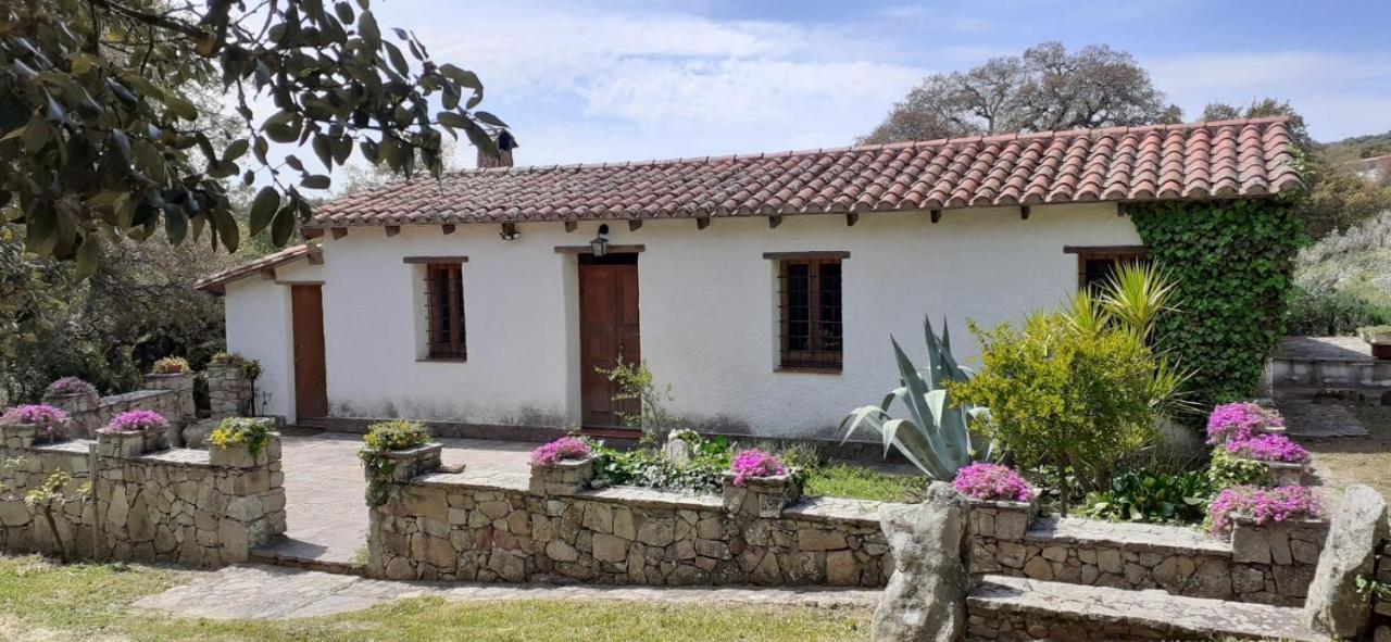 B&B I Menhir Sorgono Exterior photo