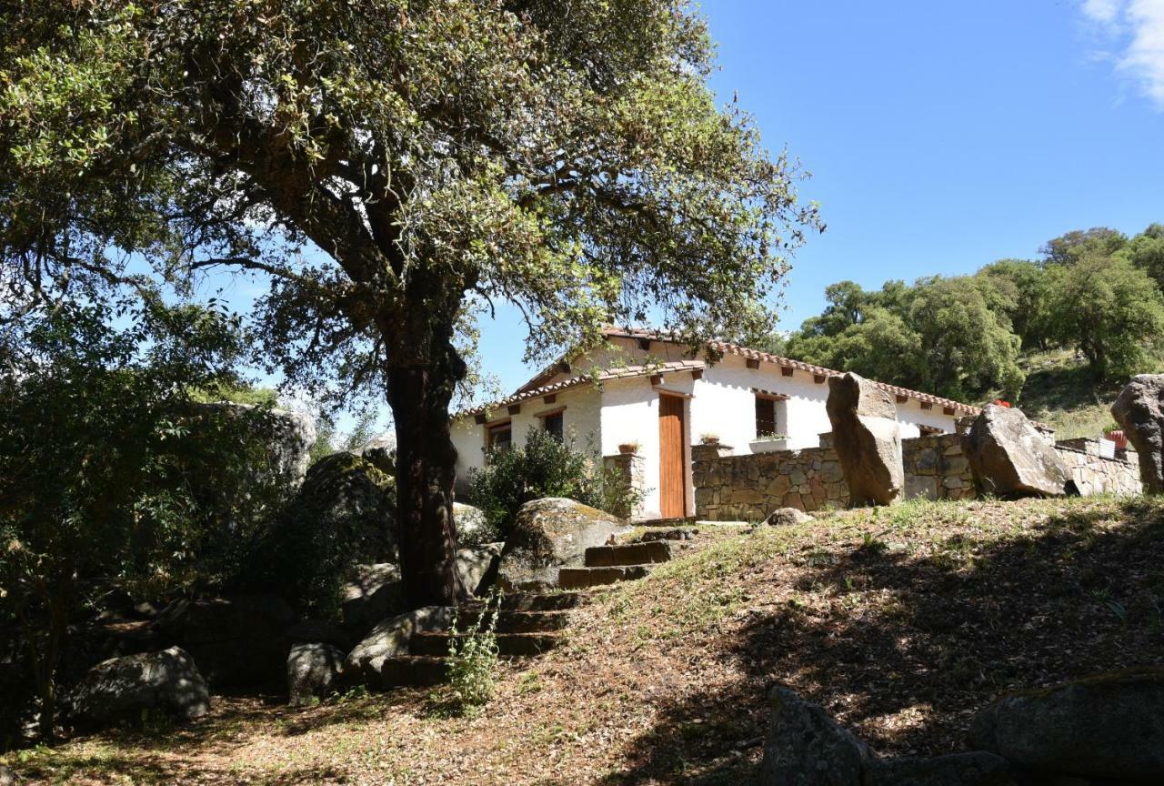 B&B I Menhir Sorgono Exterior photo