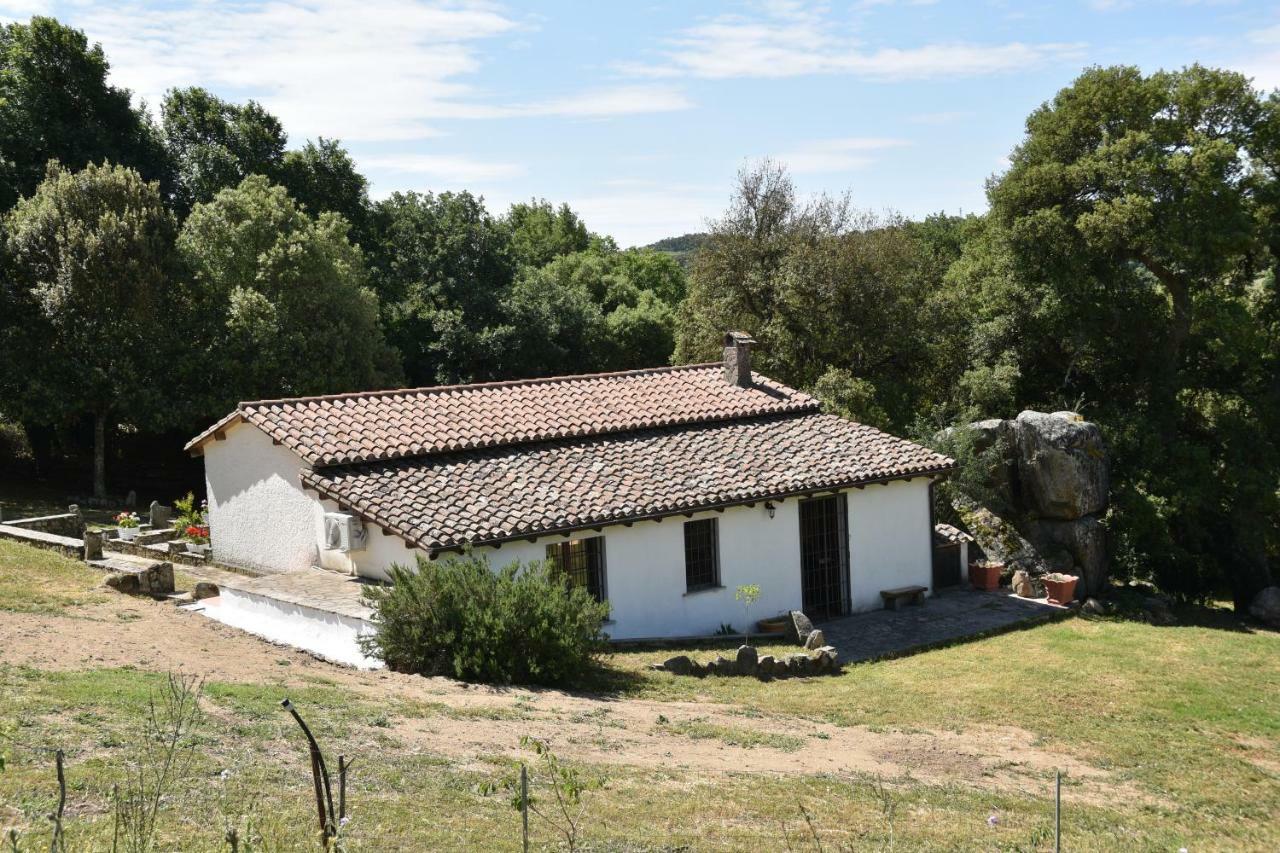 B&B I Menhir Sorgono Exterior photo