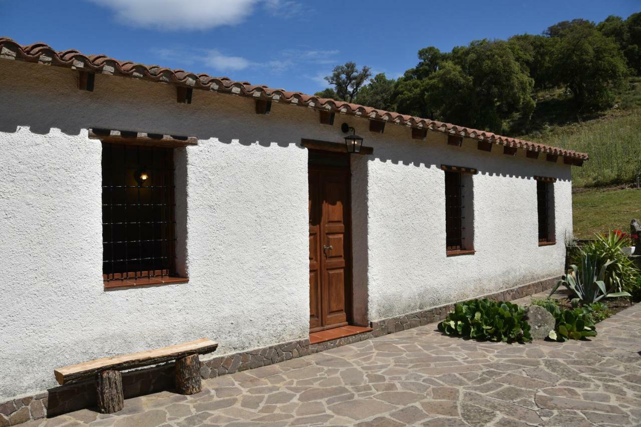 B&B I Menhir Sorgono Exterior photo