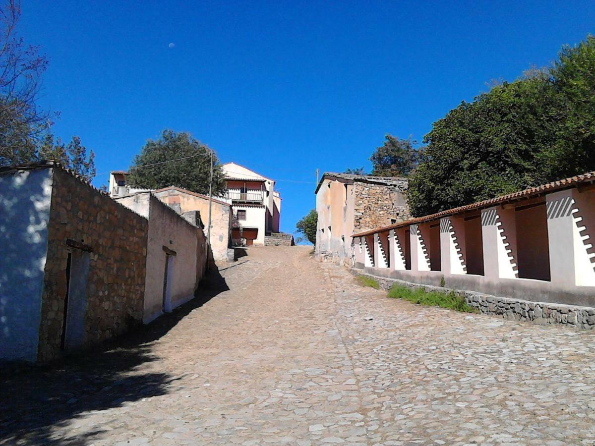 B&B I Menhir Sorgono Exterior photo
