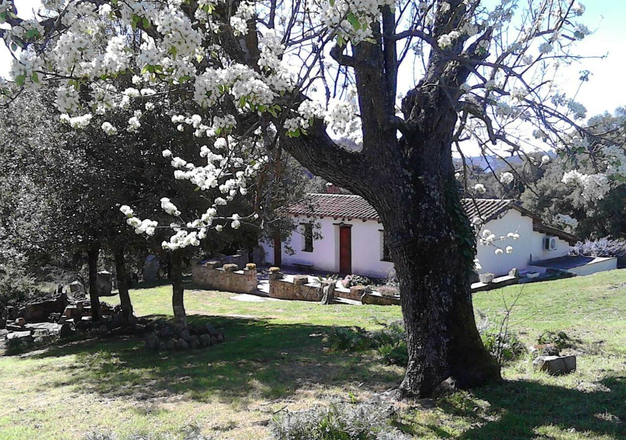 B&B I Menhir Sorgono Exterior photo