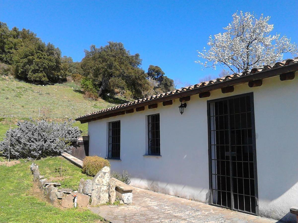B&B I Menhir Sorgono Exterior photo